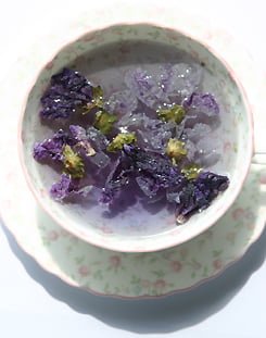 4月のお茶