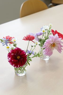 入門　4月