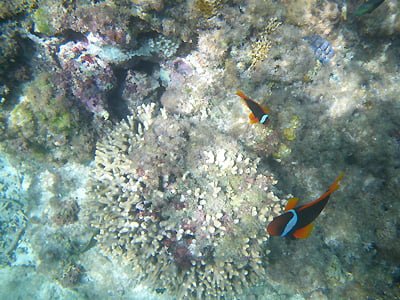 沖縄2015-3