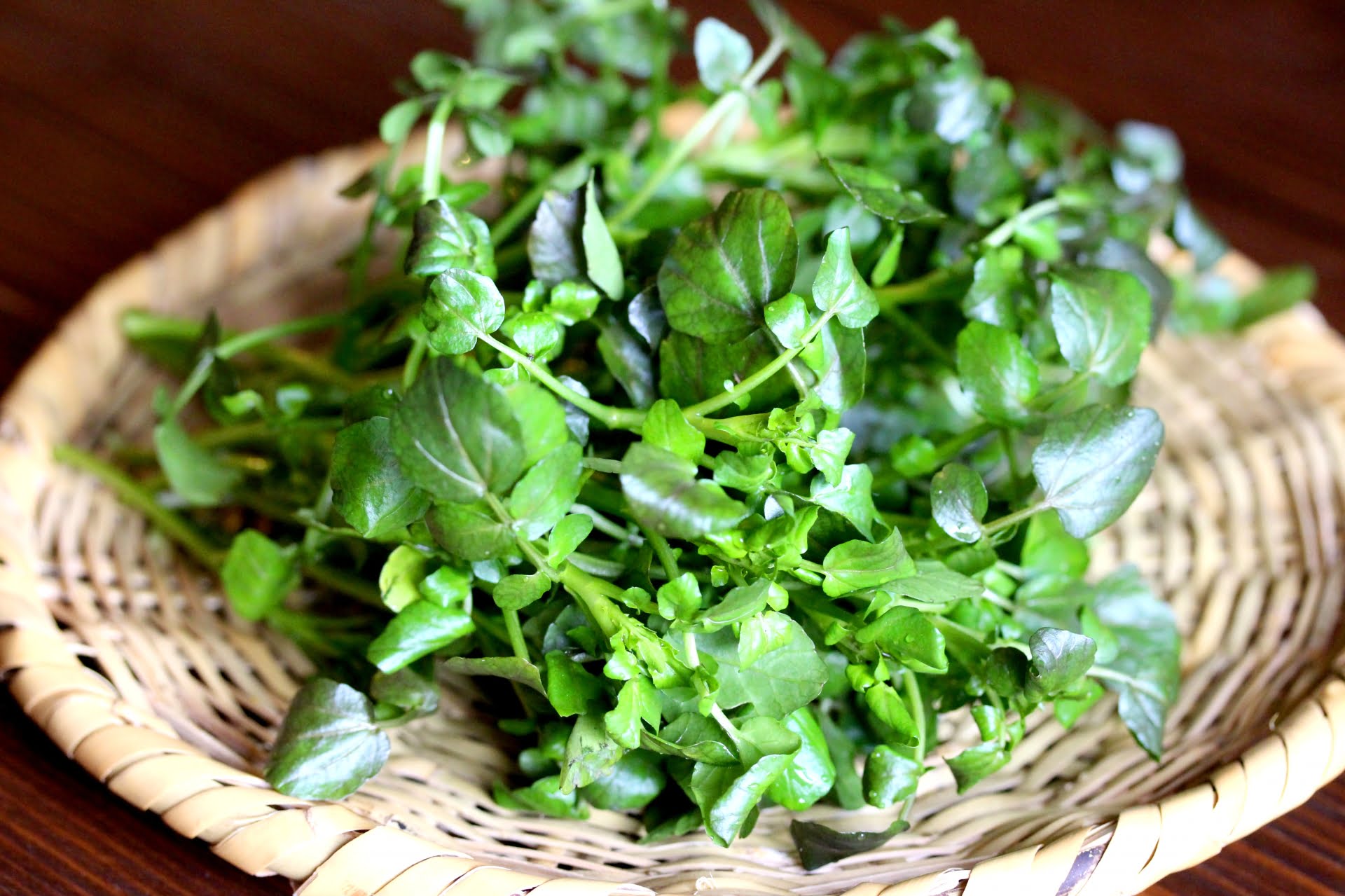 採れたての新鮮なクレソン