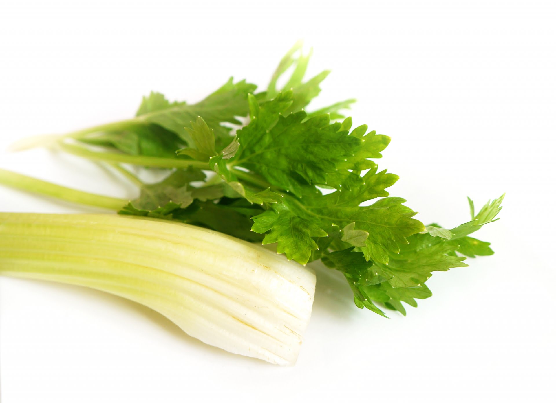 セロリ
