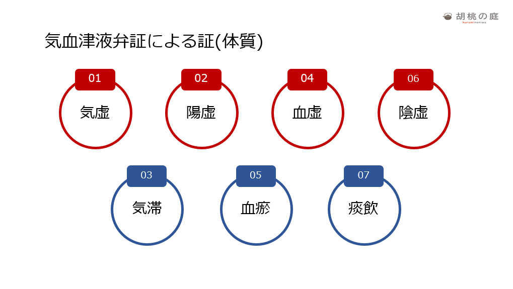 気血津液の証の解説画像
