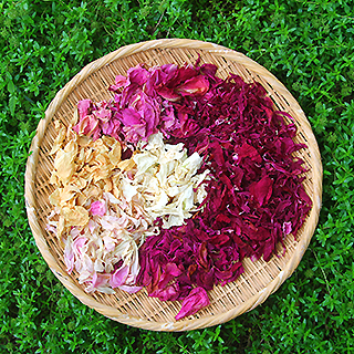 芍薬の花|胡桃の庭の薬膳 芍薬の花|胡桃の庭の薬膳